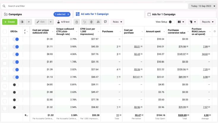 Lead Campaign Result 4